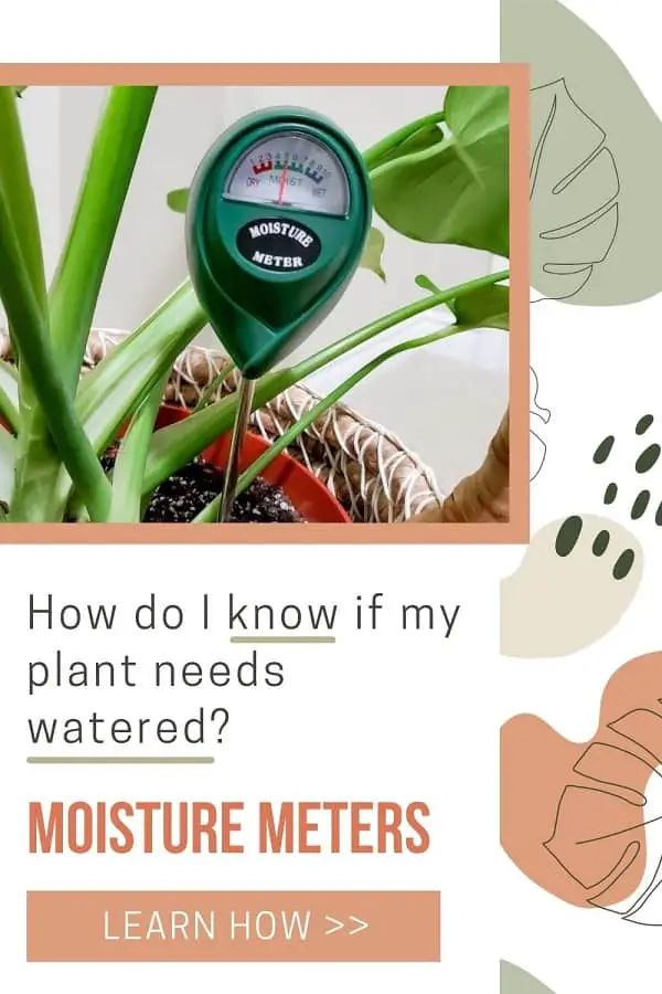 xlux moisture meter in pot of soil
