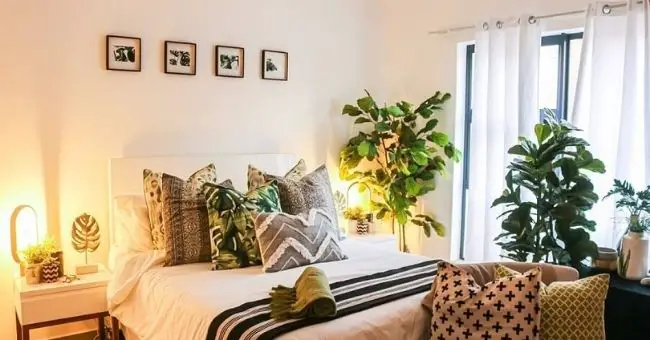 create a relaxing bedroom sanctuary with ambient lighting and plants