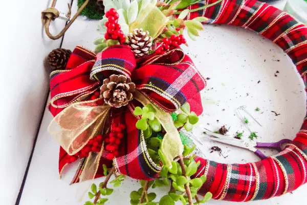 Red Plaid and Gold bow on wreath surrounded by live succulents pine cones and red berries