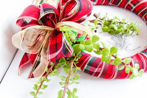 Succulents secured to wreath form surrounded by red plaid and gold bow
