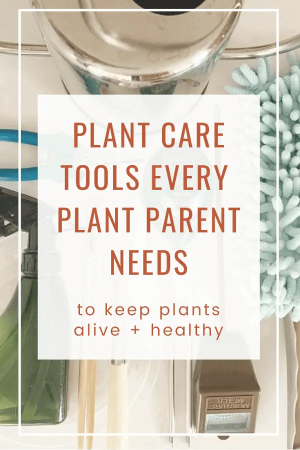 Indoor plant care tools