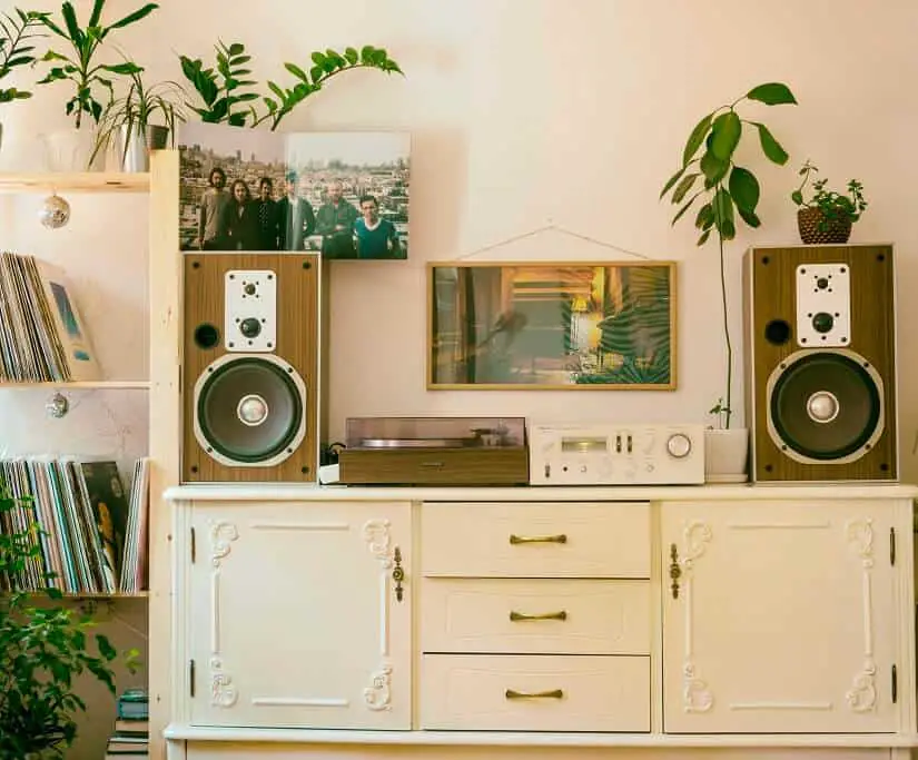 vintage speakers and radio on vintage cabinet surrounded by plants