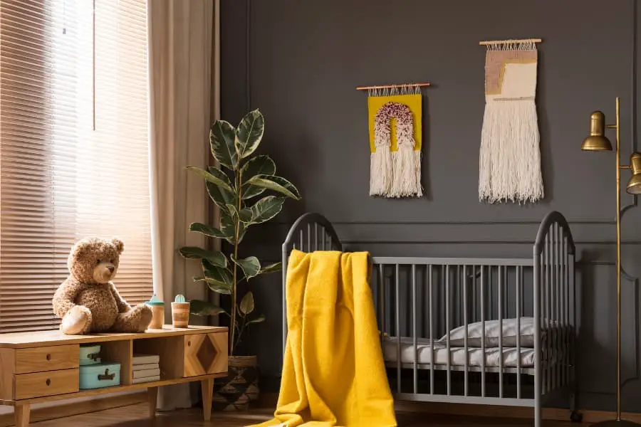 fiddle leaf fit plant in baby nursery