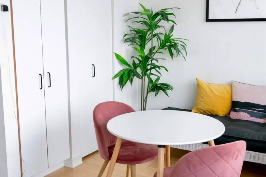 pink velvet chairs around white round dining table with aesthtic plant in corner