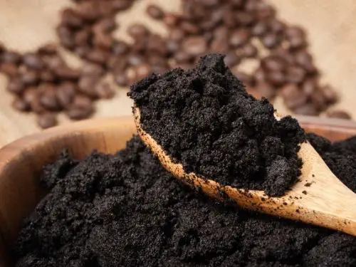 wooden spoon full of wet coffee grounds with fresh coffee beans in background