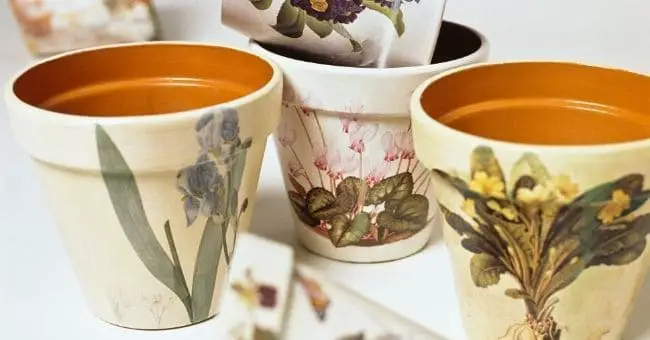 terracotta pots hand painted with elegant flowers