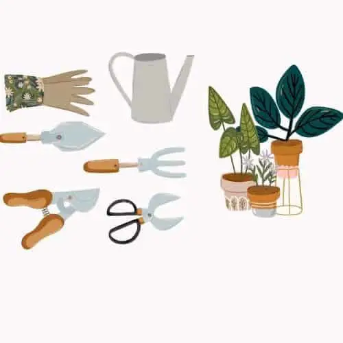 indoor plant care tools OPT