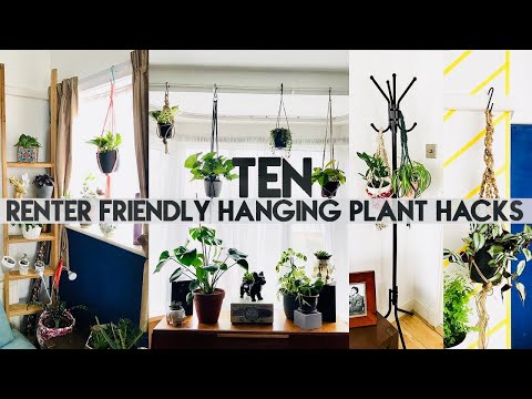 10 HANGING PLANT DIY HACKS FOR RENTERS | No Drill, No Holes | Miss Bird