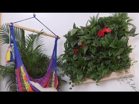 How to Make a DIY Indoor Living Plant Wall | Eye on Design