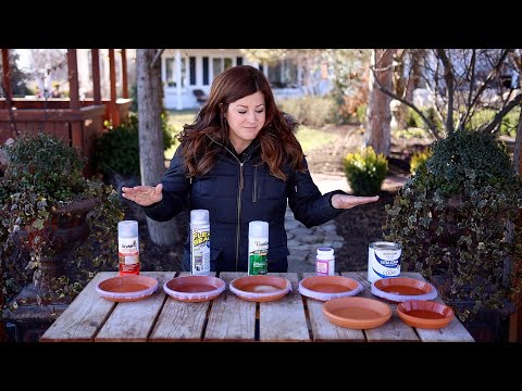 Testing 5 Different Sealers on Terracotta Saucers! Which One is the Best? 🌿 // Garden Answer