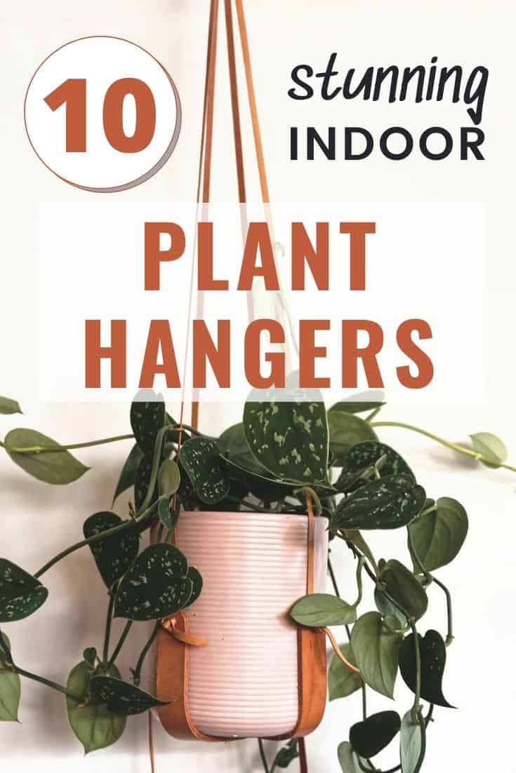 leather indoor plant hangers with pink pots
