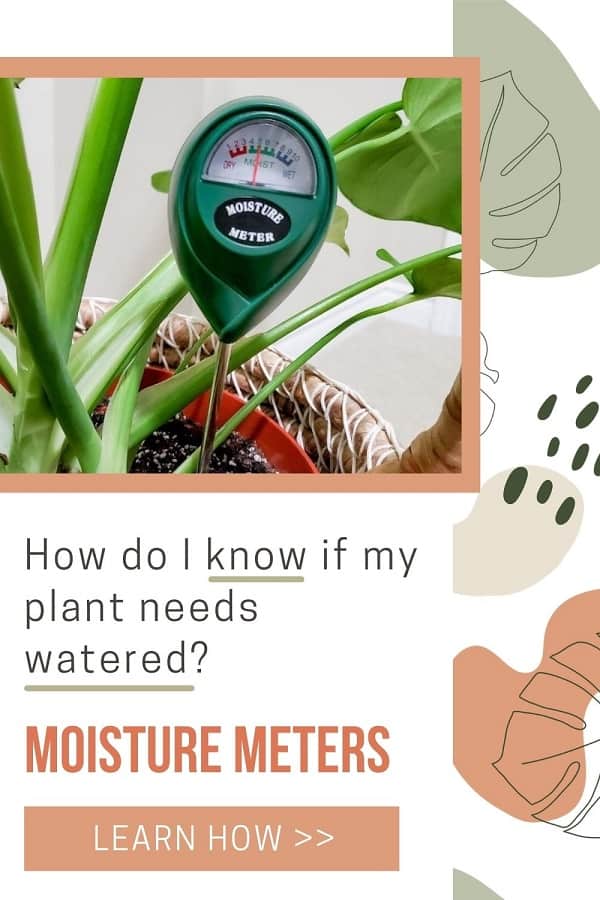 5 Best Soil Moisture Meters for Houseplants | Plantiful Interiors