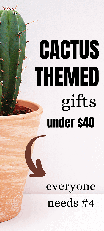 list of cactus themed gift ideas