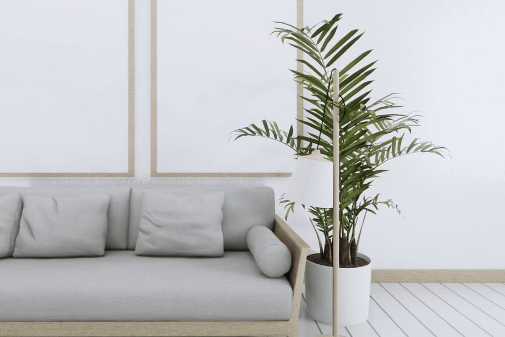 palm plant in white pot beside grey couch