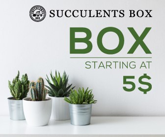 Subscribe to receive succulents mailed to you every month