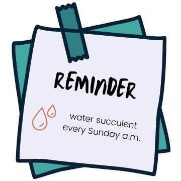 post it note with reminder to water succulents