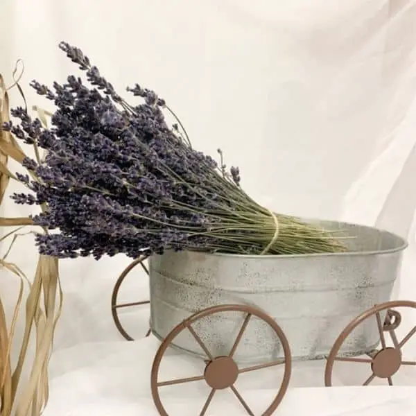 bunch of dried lavendar in small tin bucket