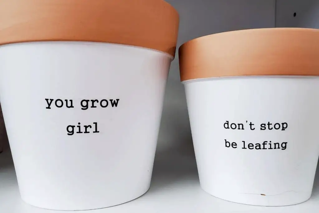 plant sayings painted on white terracotta pots: you grow girl, don't stop be leafing