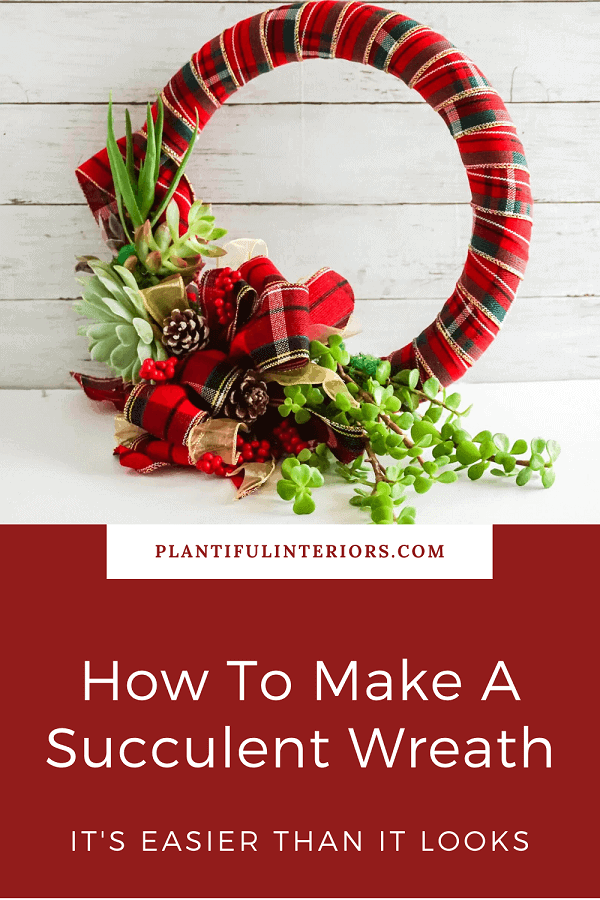 how to make a succulent wreath