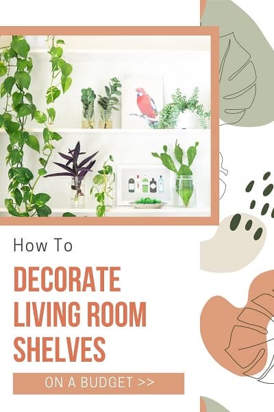 white living room shelving unit decorated with plants and bird pictures