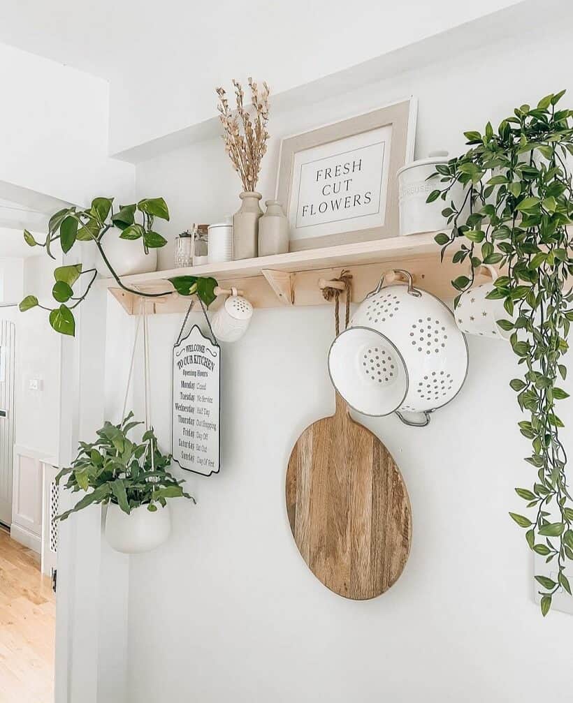 Vine plants on shelf with old fashioned kitch accessories