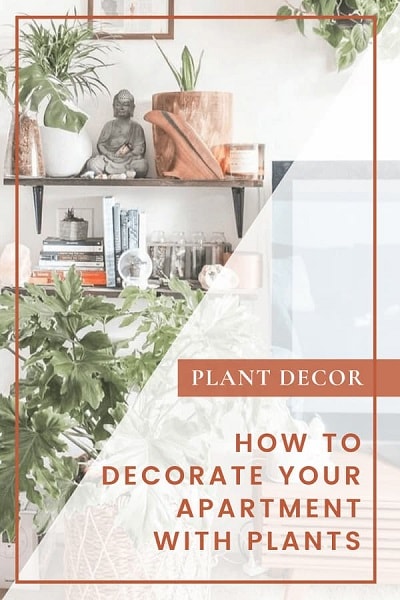 Plant Decor Decorate Apartment with Plants