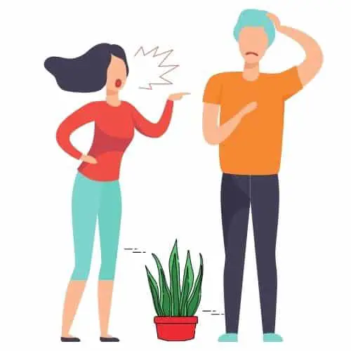 illustration of mother in law yelling at man with snake plant on floor