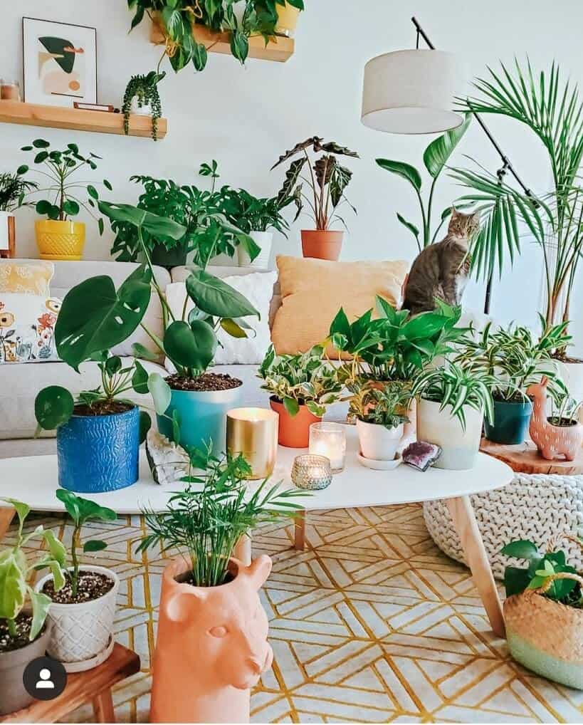 12 Boho Living Room Ideas with Plants On A Budget | Plantiful Interiors