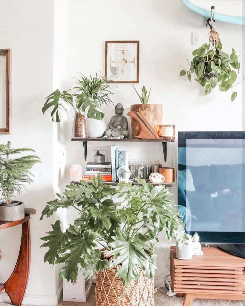 zen plant corner IG maddyrussell