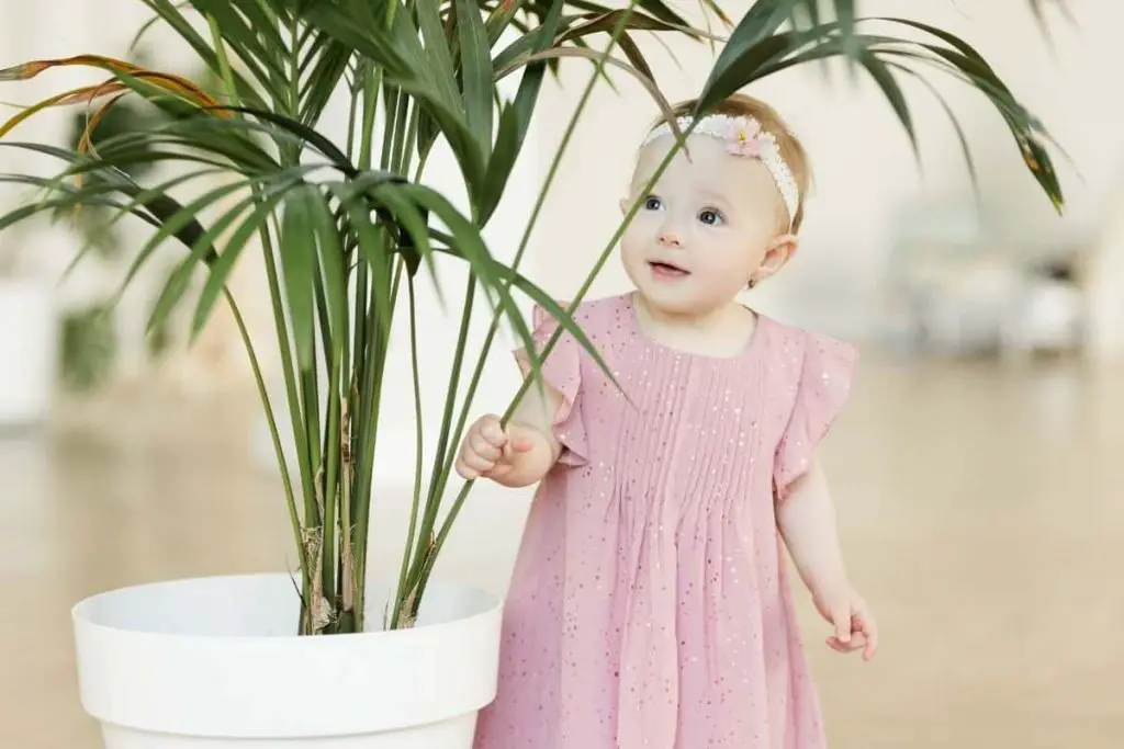 baby girl looking at indoor palm plant, one of best plants for a baby nursery