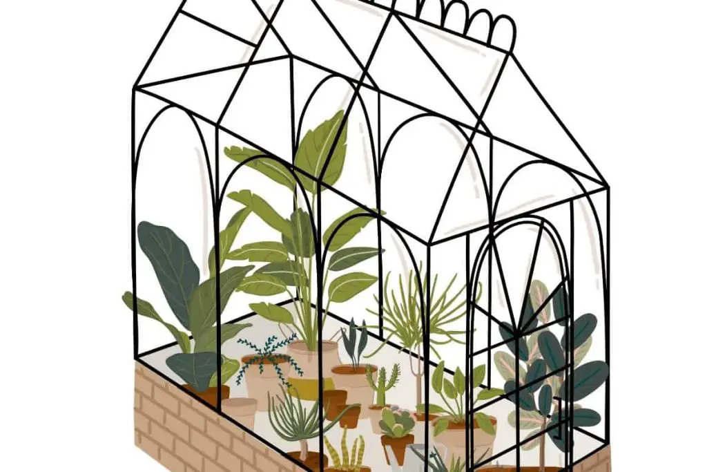 indoor greenhouse