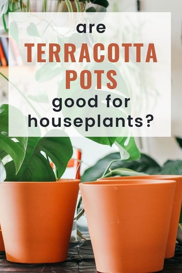 test: are terracaotta pots good for houseplants