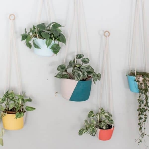 Color Block Macrame Wall Hanging Plant Holder