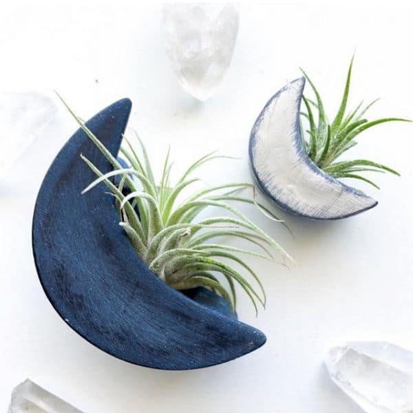 Moon Magnet Plant Holder