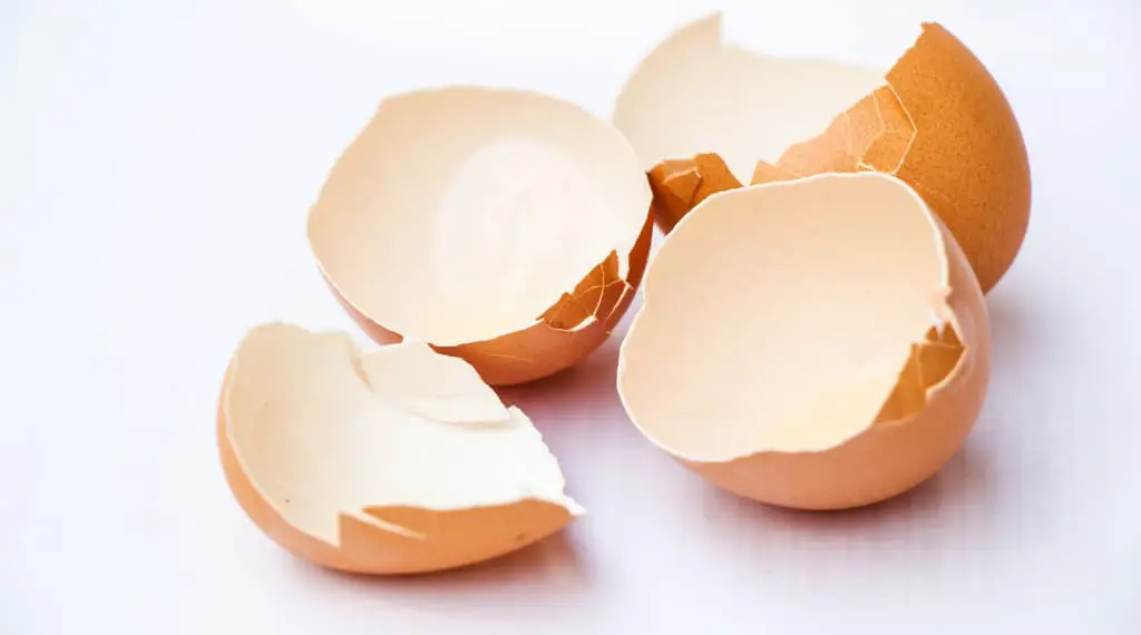 cracked eggshells good for houseplants