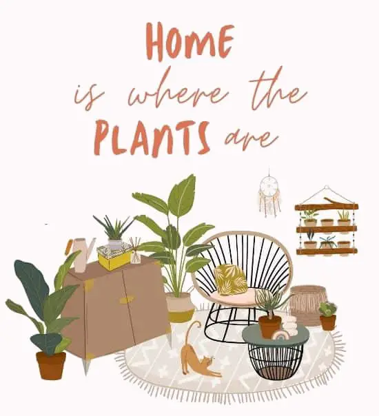 Home is where the plants are