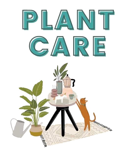 Plant Care