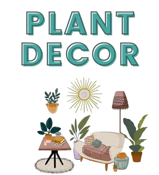 Plant Decor