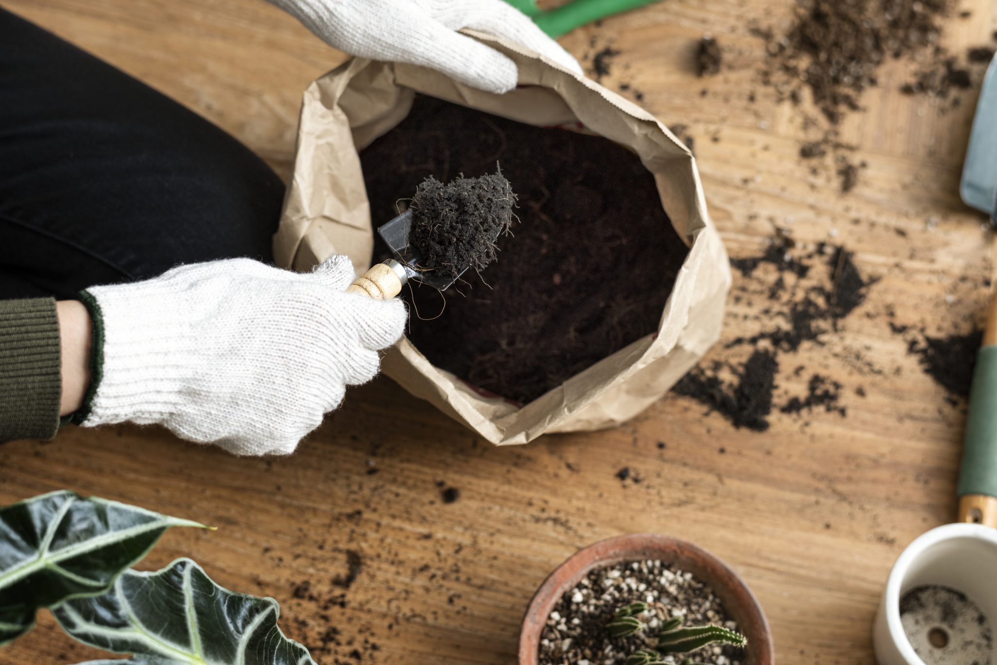 Does Potting Soil Go Bad Bagged? What You Should Know 2021