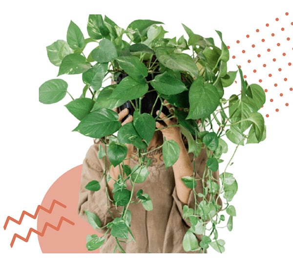 Woman holding vine plant in front of her head