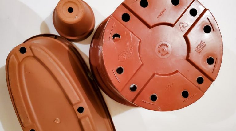 Drainage For Potted Plants: Do Indoor Plants Need Drainage?