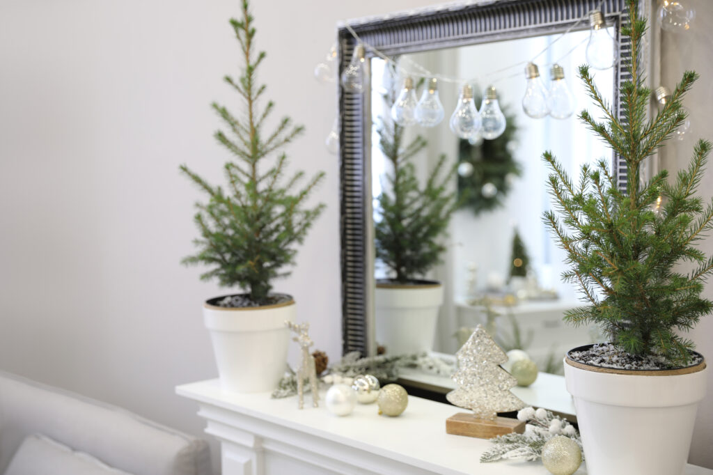 Deck The Halls with These 6 Amazing Plants for Decorating | Plantiful Interiors